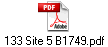 133 Site 5 B1749.pdf